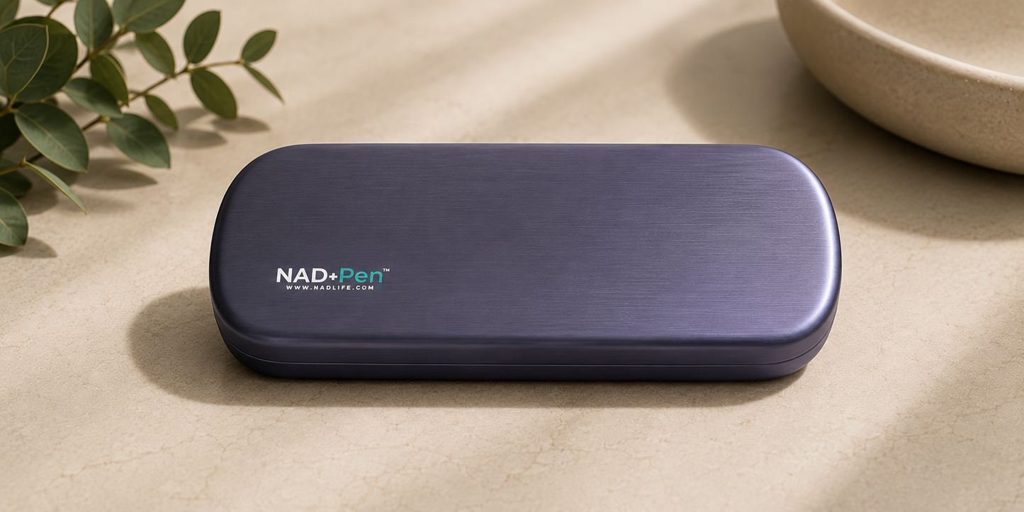 NAD+Pen navy brushed metal travel case
